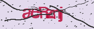 Captcha認証コード