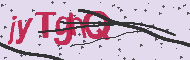 Captcha認証コード