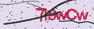 Captcha認証コード