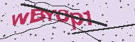 Captcha認証コード