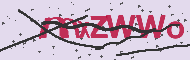 Captcha認証コード