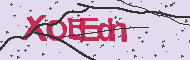 Captcha認証コード