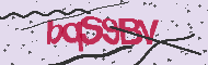 Captcha認証コード