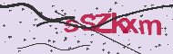 Captcha認証コード