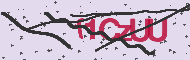 Captcha認証コード