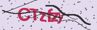 Captcha認証コード