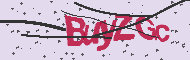 Captcha認証コード