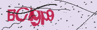 Captcha認証コード